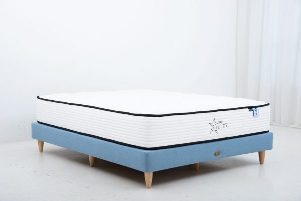Galax Stella - Image 3